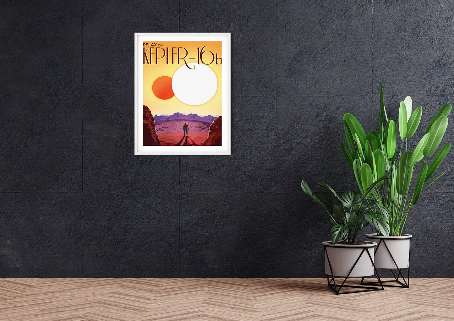 Kepler 16b Space Posters