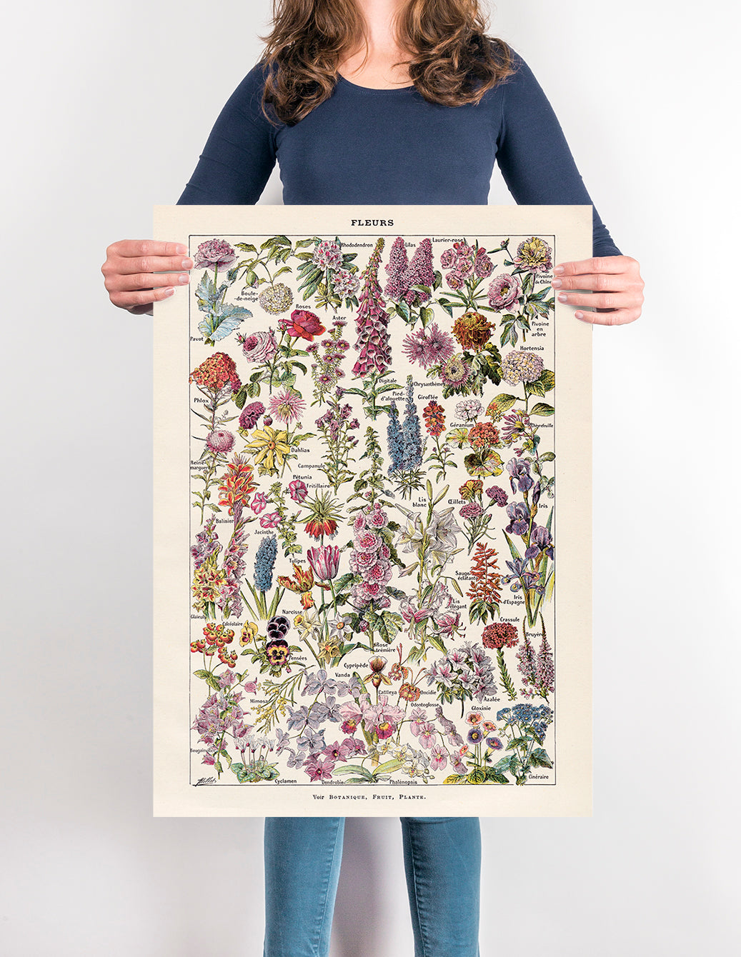 Le Fleur Botanical Gallery Wall Set of 6 Poster