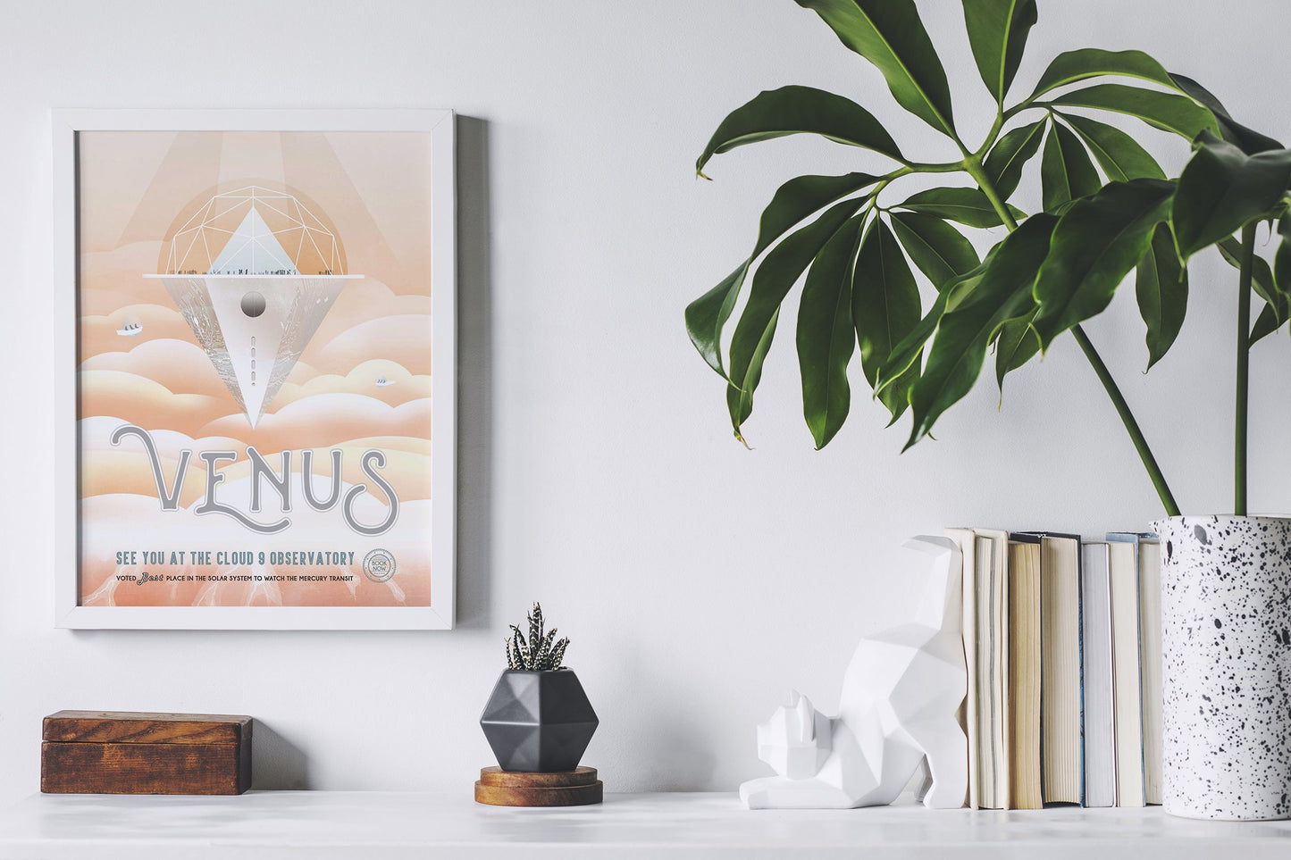 Venus Space Poster