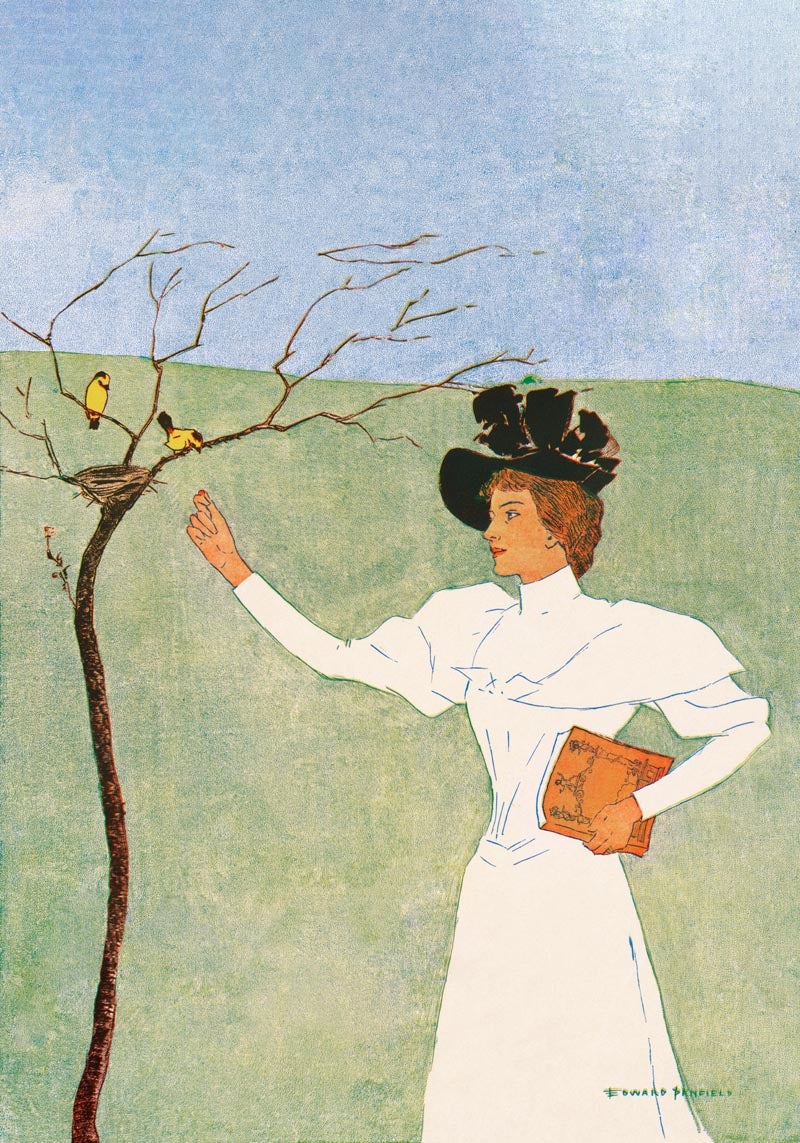 Mujer buscando pájaros, de Edward Penfield