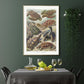 Ernst Haeckel Wall Art - Chelonia by Ernst Haeckel Poster