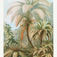 Palm Tree I (Filicinae–Laubfarne)  by Ernst Haeckel