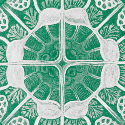 Discomedusae I - Medusa verde, de Ernst Haeckel