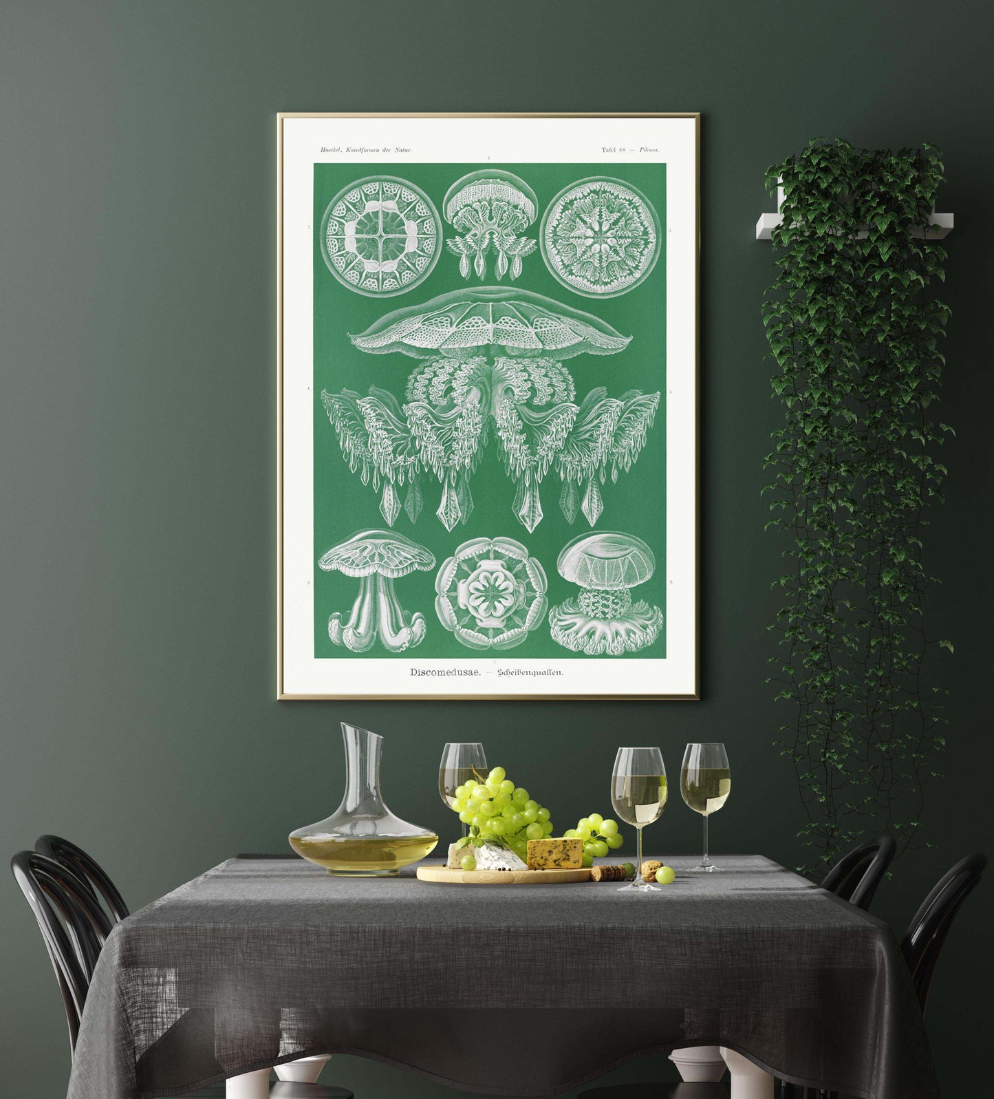 Ernst Haeckel Wall Art - Discomedusae Green Jellyfish by Ernst Haeckel Poster with borders