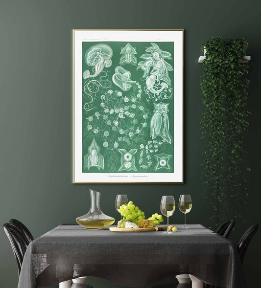 Ernst Haeckel Wall Art - Siphonophorae I by Ernst Haeckel Poster