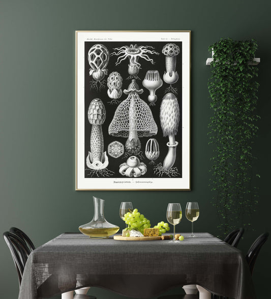 Ernst Haeckel Wall Art - Basimycetes by Ernst Haeckel Poster