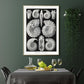 Ernst Haeckel Wall Art - Ammonitida by Ernst Haeckel Poster