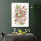 Ernst Haeckel Wall Art - Nepenthaceae by Ernst Haeckel Poster