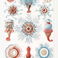 Siphonophorae V by Ernst Haeckel