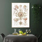 Ernst Haeckel Wall Art - Trachomedusae by Ernst Haeckel Poster