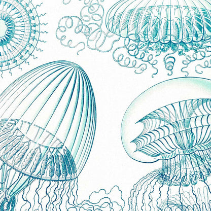 Leptomedusas de Ernst Haeckel