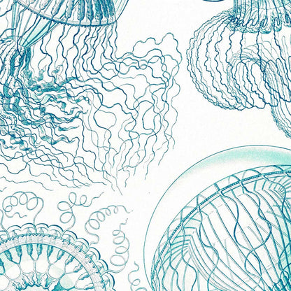 Leptomedusas de Ernst Haeckel