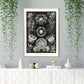 Ernst Haeckel Wall Art - Ascomycetes by Ernst Haeckel Poster