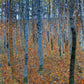 Beech Grove I by Gustav Klimt