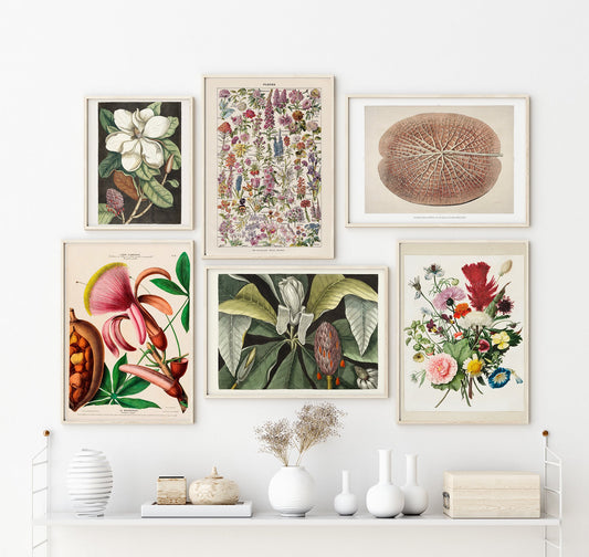 Le Fleur Botanical Gallery Wall Set of 6 Poster