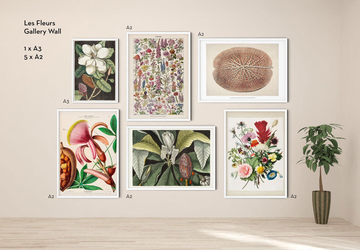 Le Fleur Botanical Gallery Wall Set of 6 Poster