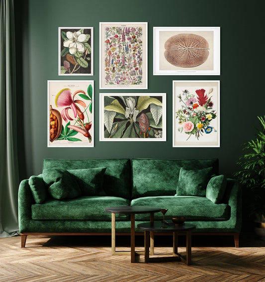 Juego de 6 pósters para pared con galería botánica Le Fleur