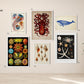 Seaside Art Gallery Wall Set of 6 Poster