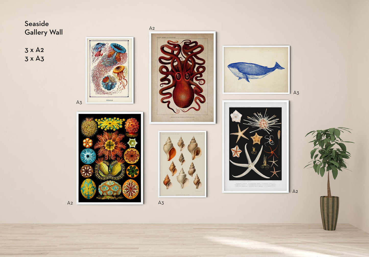 Seaside Art Gallery Wall Set of 6 Poster