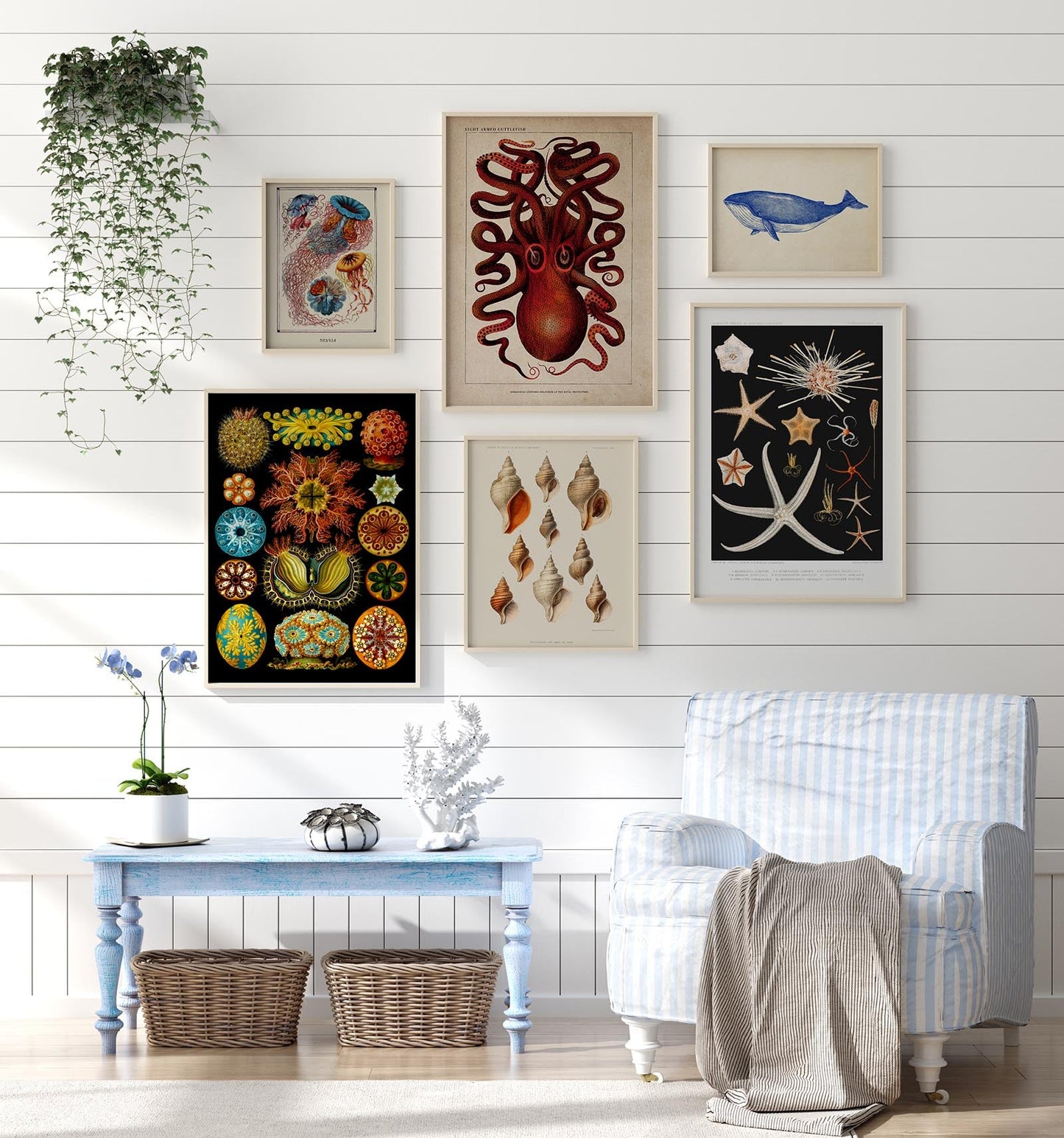 Seaside Art Gallery Wall Set of 6 Poster