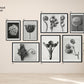 Karl Blossfeldt Art Gallery Wall Set of 7 Poster