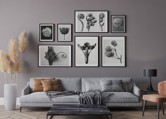 Karl Blossfeldt Art Gallery Wall Set of 7 Poster