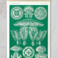 Discomedusae I - Green Jellyfish, by Ernst Haeckel