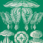 Discomedusae II - Green Jellyfish, by Ernst Haeckel