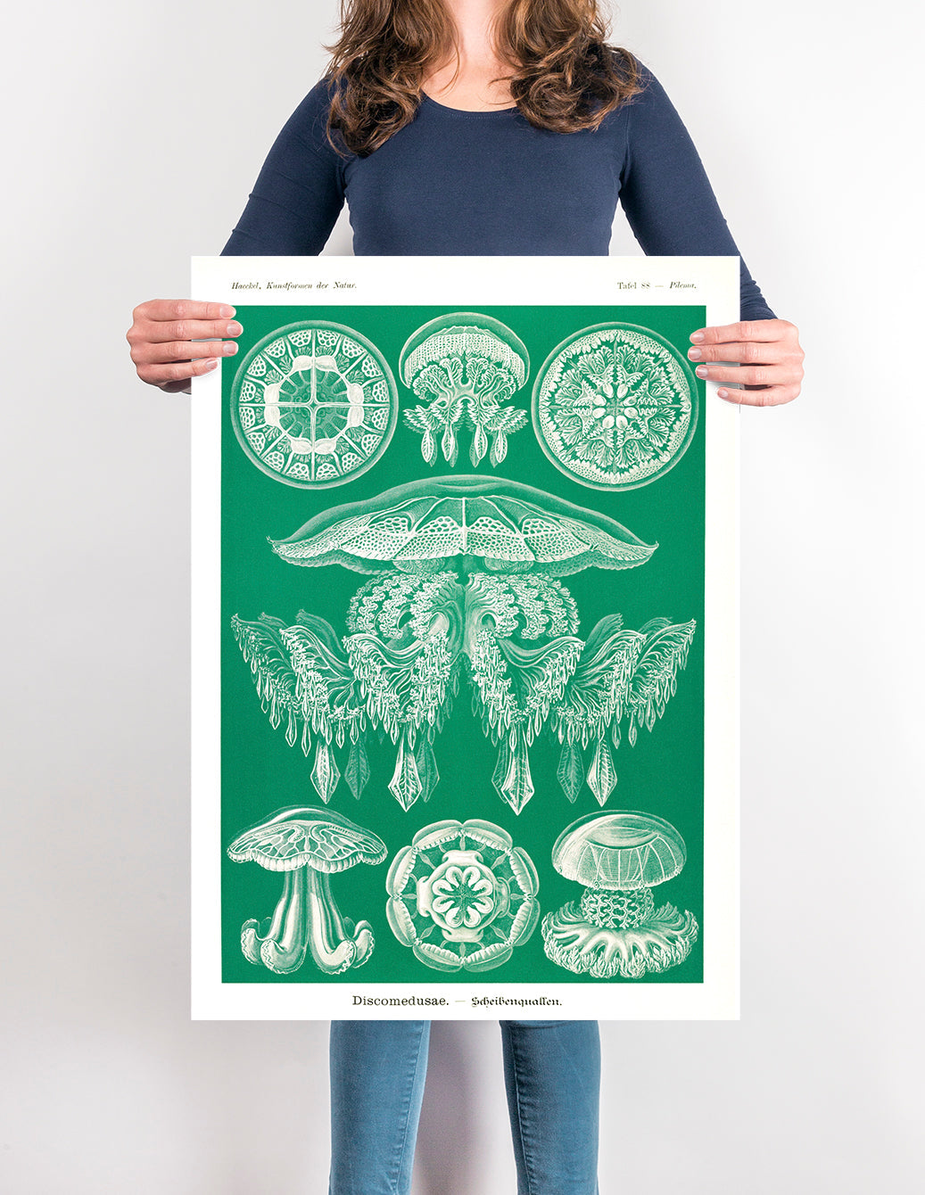 Discomedusae I - Green Jellyfish, by Ernst Haeckel