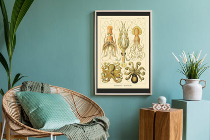 Gamochonia I de Ernst Haeckel