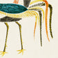 Japanese cranes by Taguchi Tomoki Set of 3