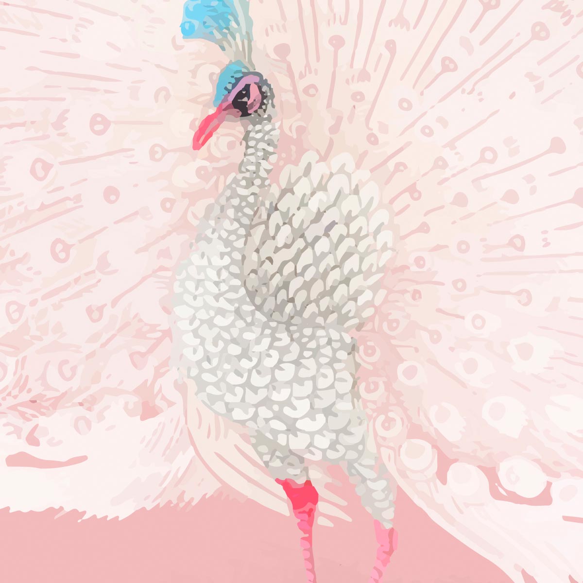 Japanese White Peacock remixed in Pink