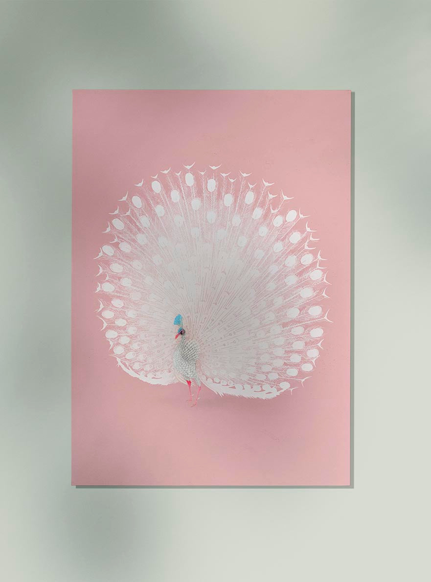 Japanese White Peacock remixed in Pink