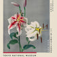 Two White Lily by Kazumasa Exhibition Poster