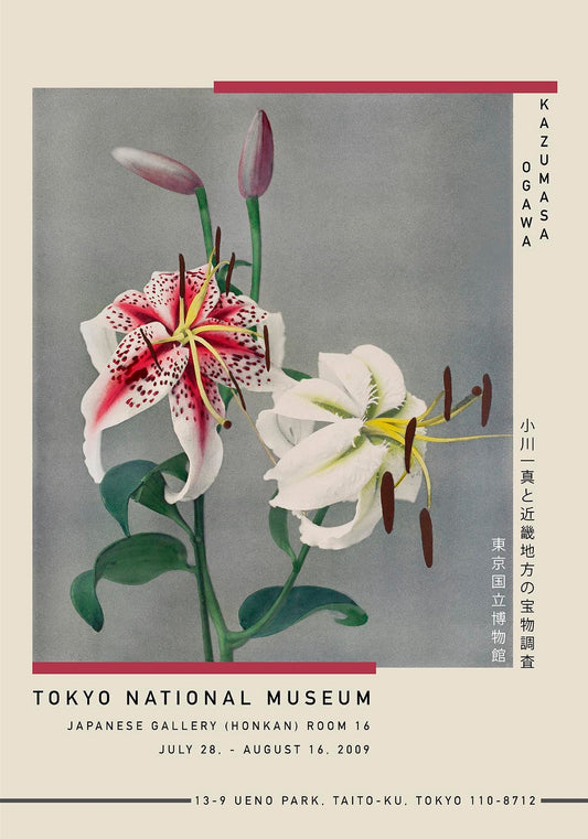 Afiche de la exposición Two White Lily de Kazumasa