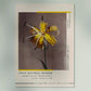 Yellow Lily by Kazumasa Exhibition Poster