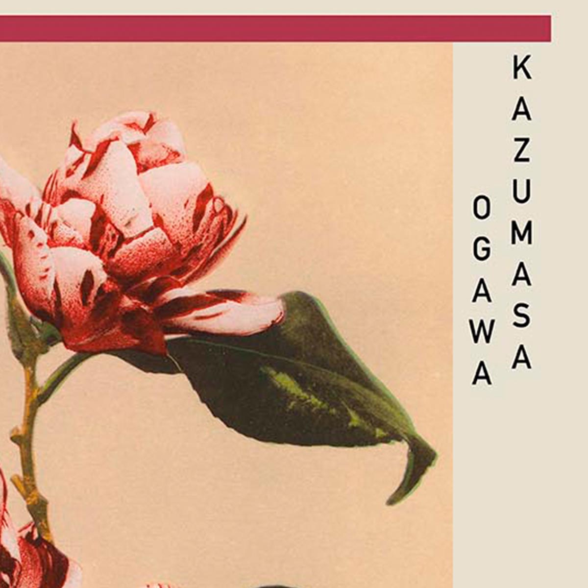 Póster de la exposición Camelias rayadas de Kazumasa