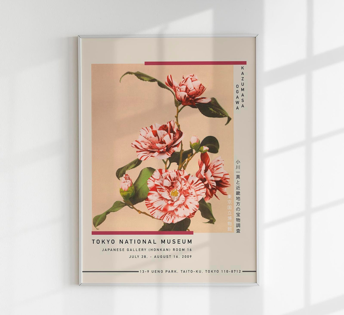 Póster de la exposición Camelias rayadas de Kazumasa