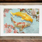 Japanese Koi Fish Poster