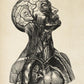 Vintage Anatomy Posters "Head" Set of 3 Prints