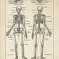 Vintage Anatomy Posters "Head" Set of 3 Prints