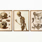 Vintage Anatomy Posters "SKELETON" Set of 3 Prints