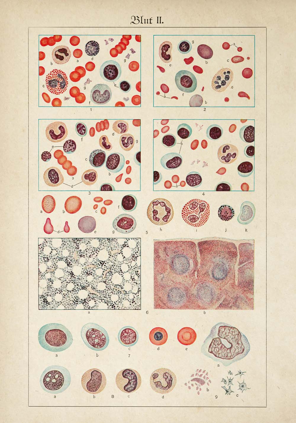 Carteles de anatomía vintage "BLOOD" Juego de 3 impresiones