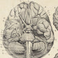 Vintage Anatomy Poster "BRAINY" Set of 2 Prints