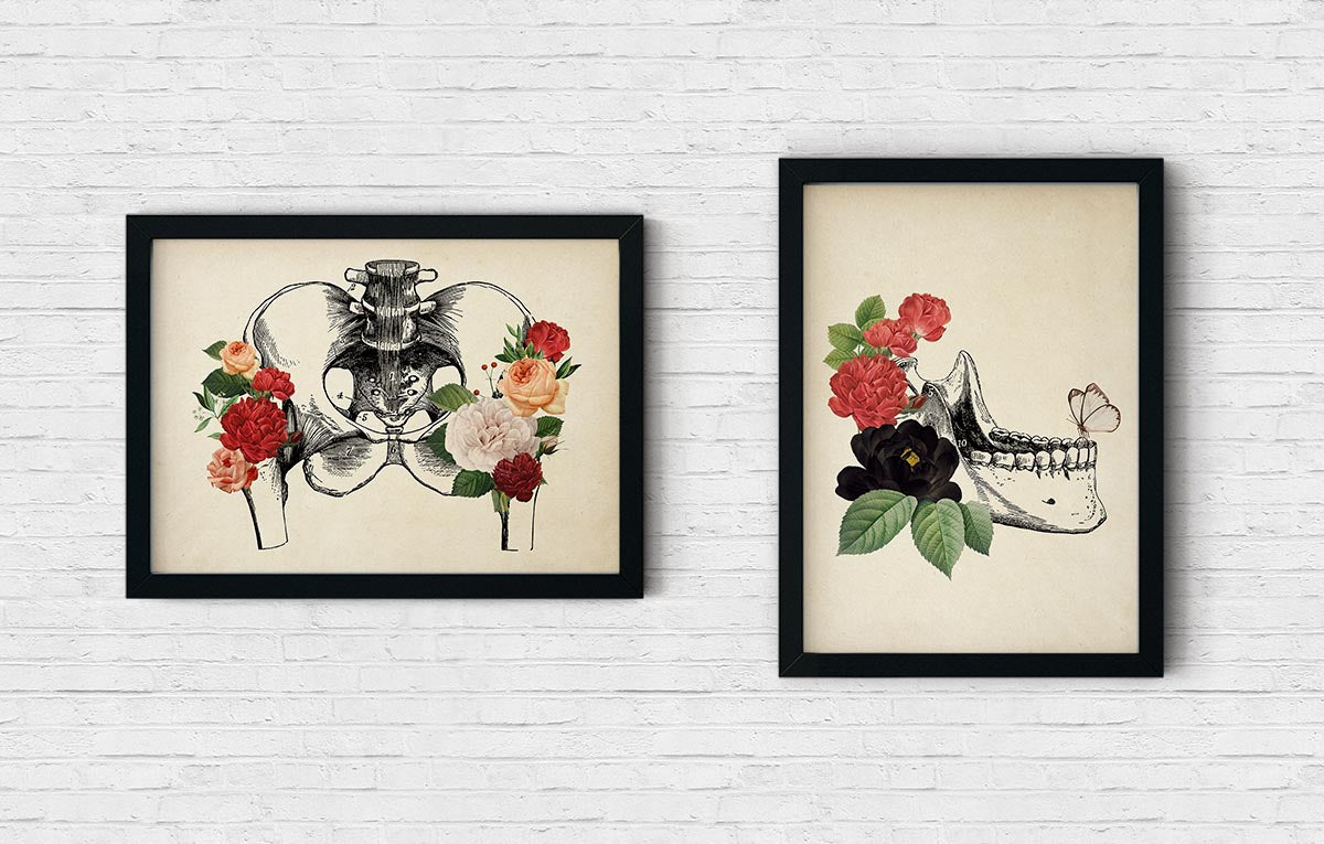 Vintage Anatomy Poster "HIPS & JAW" Set of 2 Prints