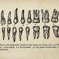 The Dentist Vintage Set of 2 Prints