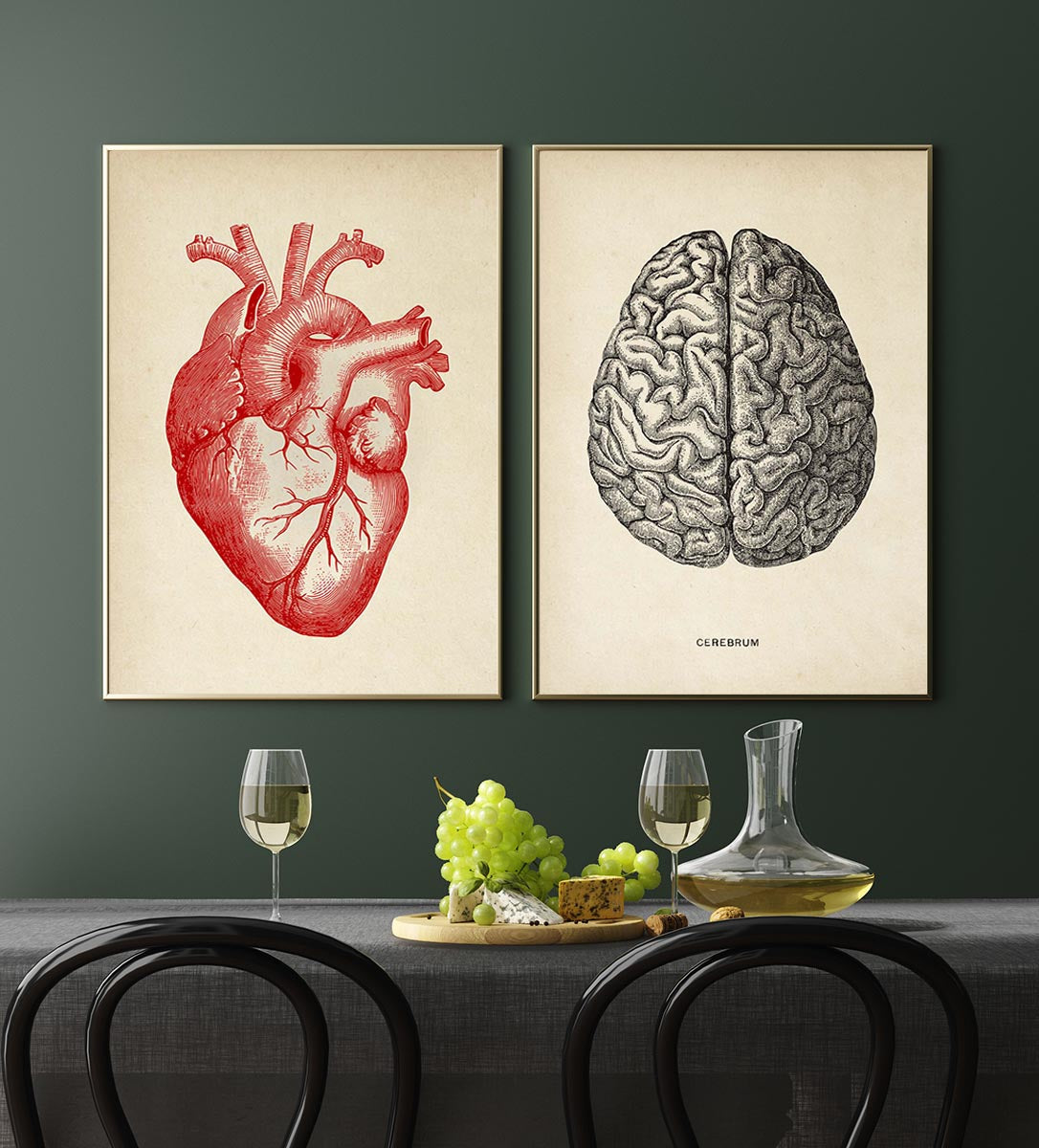 Conjunto de 2 impresiones de anatomía del corazón y el cerebro