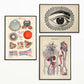 Vintage Anatomy Posters "EYE FULL" Set of 3 Posters