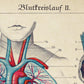 Vintage Anatomy Posters "EYE FULL" Set of 3 Posters