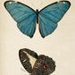 Vintage Butterfly Posters "PAPILLONS" Set of 3 Prints